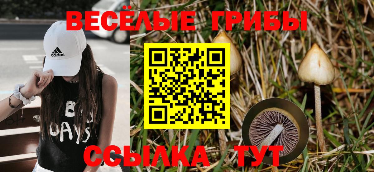 Псилоцибиновые грибы прущие грибы  Галлюциногенные грибы Psilocybine cubensis  Вход с VPN  Надым 